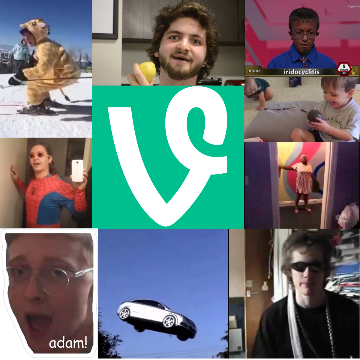 Vinescript Logo